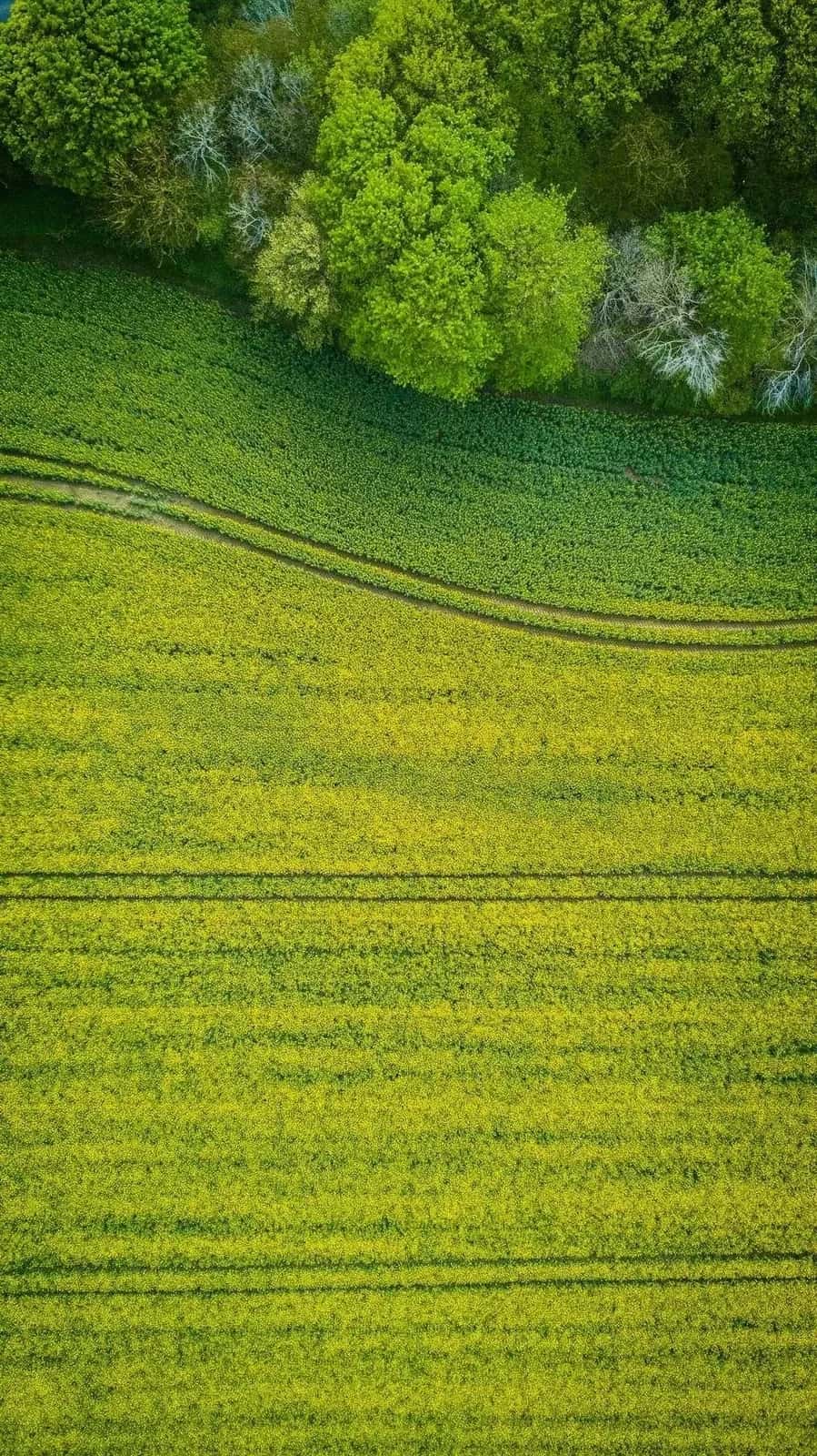 Landtechnik Schuster Startseite