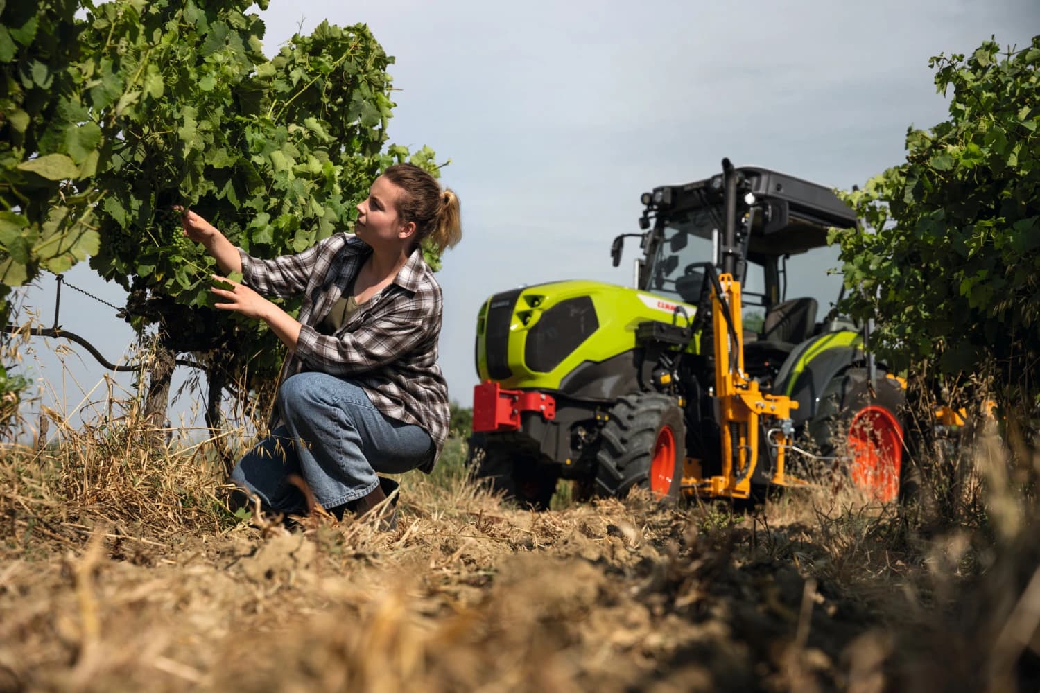 Der neue CLAAS NEXOS CMATIC funktionell im Weingarten.