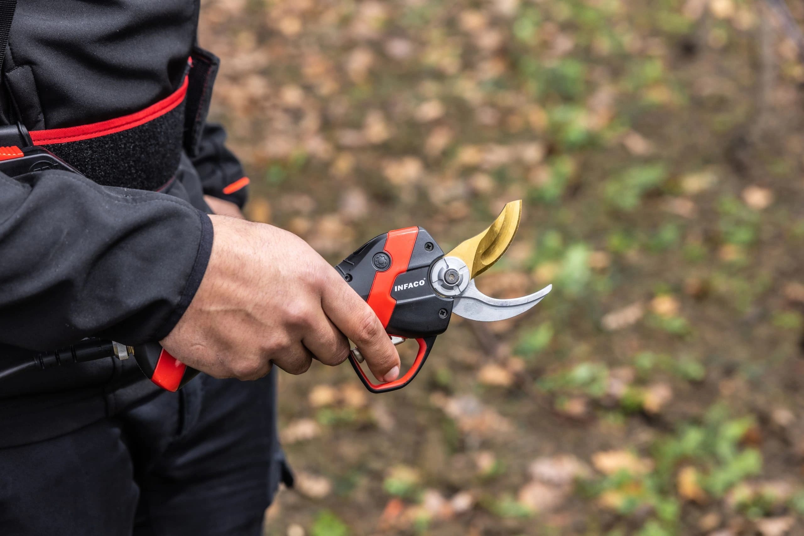 Schneiden Sie kraftvoll mit der Infaco F3020 Schere für Wein-und Obstgärten. Erhältlich bei Landtechnik Schuster 