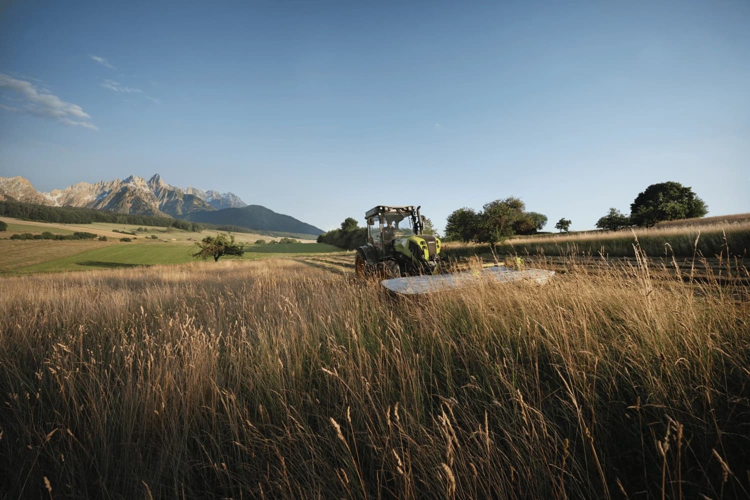 Mulcher mit Hintergund