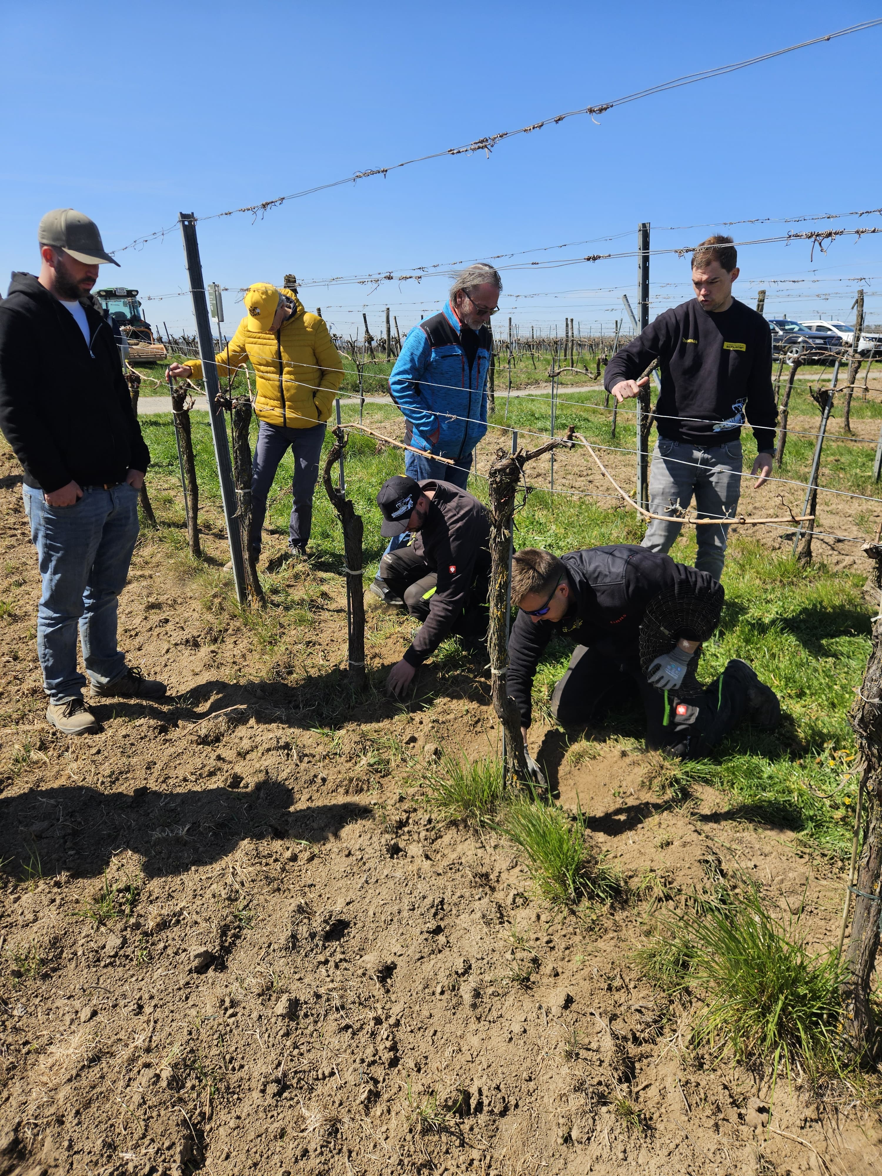 Ilmer Vorführung in Großriedenthal: Ergebnis begutachten von Ilmer Geräteträger Vario Front, Krümler und Fadenmäher im Einsatz bei strahlendem Wetter
