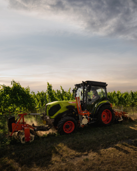 der neue stufenlose CLAAS Nexos CMATIC bei der Weingartenarbeit